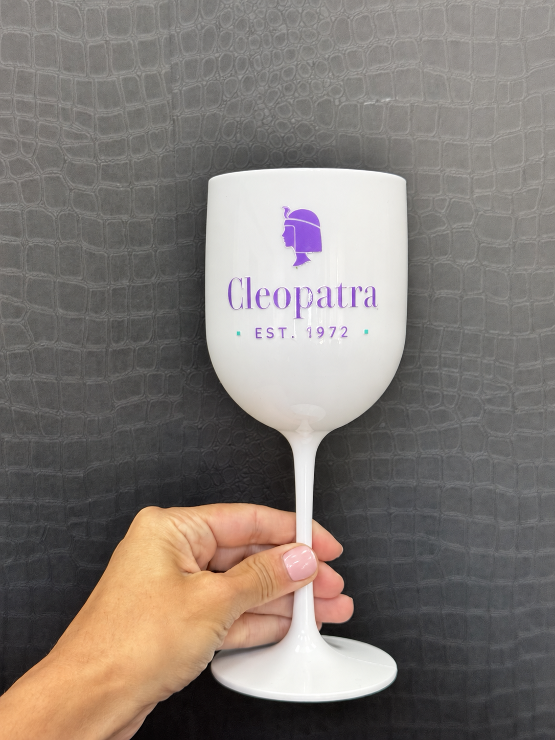 Acrylic Wine Glass